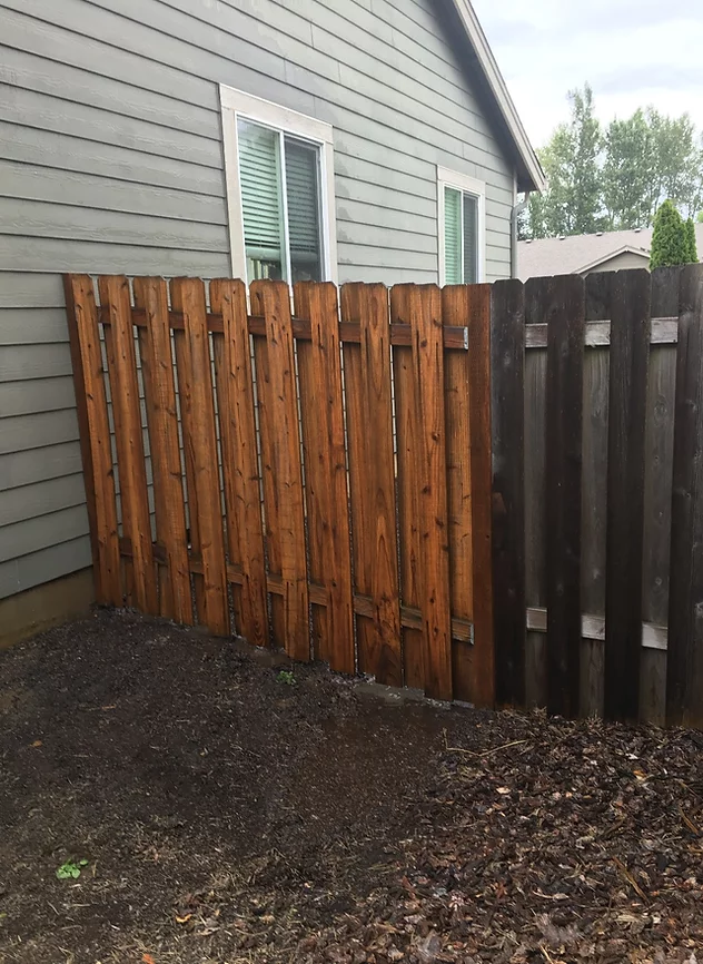 Cedar fence half restored by pressure washing