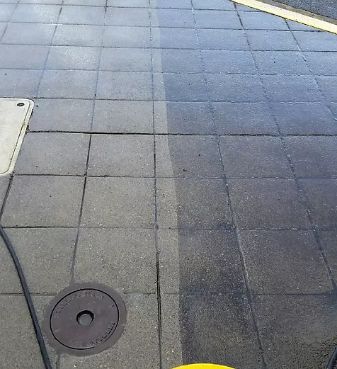 Paver walkway showing a clean line from pressure washing